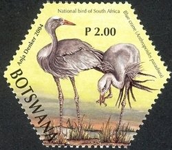 Stamp, Blue Crane (Anthropoides paradisea), Botswana,  , Birds, Cranes (Birds)