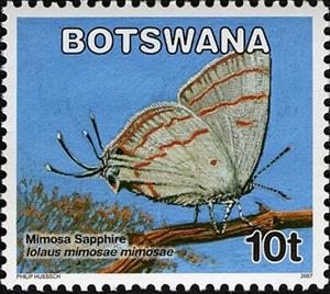 Stamp, Mimosa Sapphire (Iolaus mimosae), Botswana,  , Butterflies