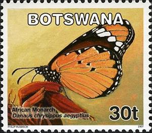 Stamp, African Monarch (Danaus chrysippus aegyptius), Botswana,  , Butterflies