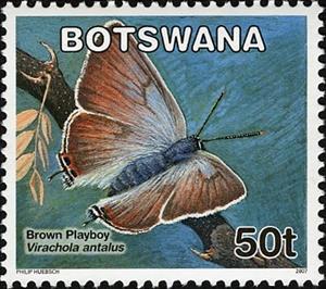 Stamp, Brown Playboy (Virachola antalus), Botswana,  , Butterflies