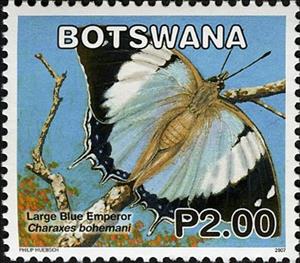 Stamp, Large Blue Charaxes (Charaxes bohemani), Botswana,  , Butterflies
