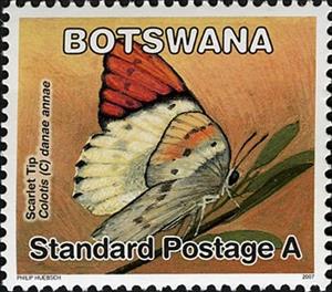Stamp, Scarlet Tip (Colotis danae annae), Botswana,  , Butterflies