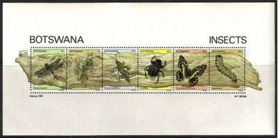 Insects