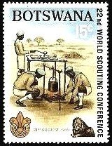 Boy Scouts cooking