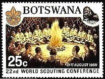 Boy Scouts around campfire