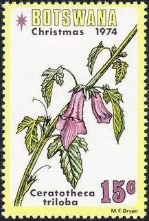 Stamp, Ceratotheca triloba, Botswana,  , Flowers, Christmas, Plants (Flora)