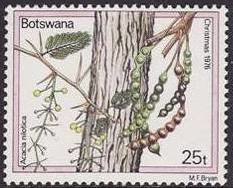 Stamp, Acacia nilotica, Botswana,  