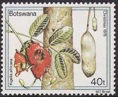 Stamp, Kigelia africana, Botswana,  