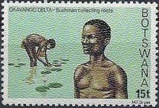 Bushman collecting roots