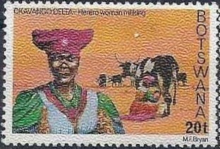 Herero woman milking cow