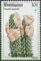 Stamp, Hoodia lugardii, Botswana,  