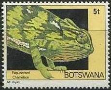 Stamp, Flap-necked Chameleon (Chamaeleo dilepis), Botswana,  