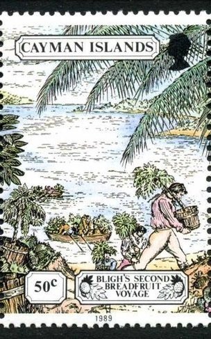 Moving Breadfruit