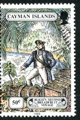 Midshipman