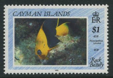 Stamp, Rock Beauty (Holacanthus tricolor), Cayman Islands,  , Fishes