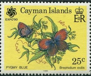 Stamp, Western Pygmy Blue (Brephidium exilis), Cayman Islands,  , Butterflies