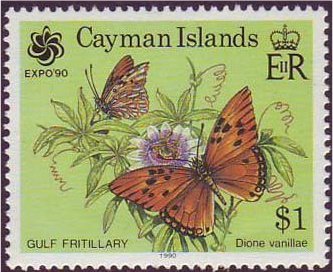 Gulf Fritillary (Agraulis vanillae)