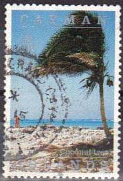 Coconut tree