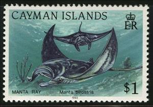 Stamp, Giant Oceanic Manta Ray (Manta birostris), Cayman Islands,  , Fishes