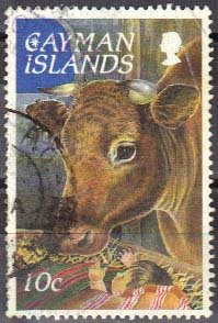 Stamp, Ox (Bos primigenius taurus), Cayman Islands,  