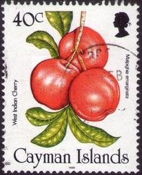 West indian cherry