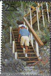 Bight Road stairway