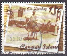 Boy on donkey