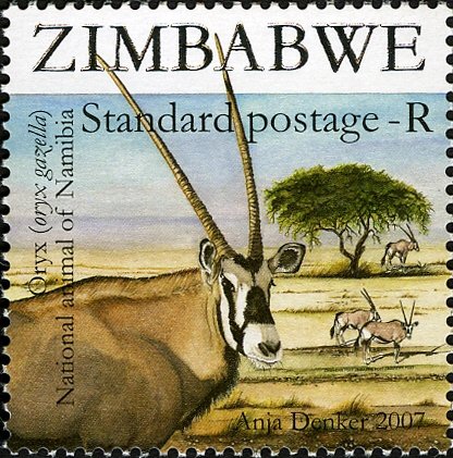 Gemsbok (Oryx gazella)