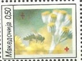 Stamp, Variables of Blood, Macedonia,  