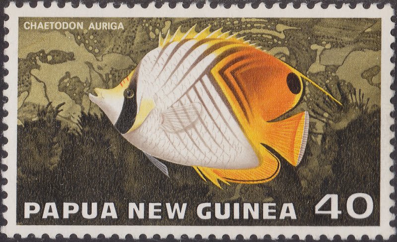 Threadfin Butterflyfish (Chaetodon auriga)