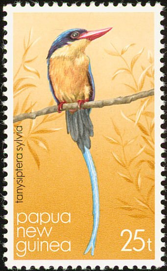 Buff-breasted Paradise Kingfisher (Tanysiptera sylvia)
