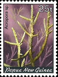 Stamp, Small Polyp Stony Coral (Acropora sp.) , Papua New Guinea,  