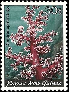 Carnation Tree Coral (Dendronephthya sp.)
