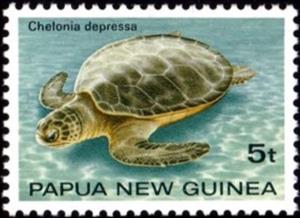 Stamp, Australian Flatback Turtle (Chelonia depressa), Papua New Guinea,  