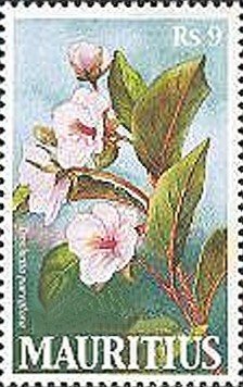 Stamp, Trochetia parviflora, Mauritius,  , Flowers