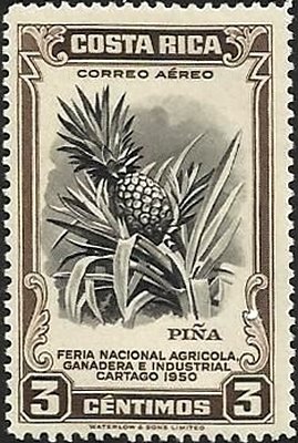 Stamp, Pineapple, Costa Rica,  , Fruits