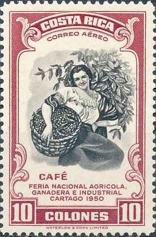 Coffee picker