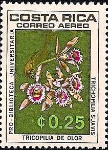 Stamp, Trichopilia suavis, Costa Rica,  , Orchids