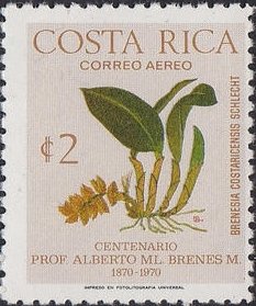 Stamp, Brenesia costaricensis, Costa Rica,  