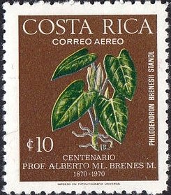 Stamp, Philodendron brenesi, Costa Rica,  