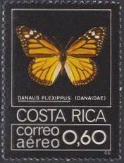 Monarch Butterfly (Danaus plexippus)
