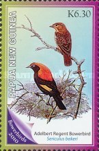 Fire-maned Bowerbird (Sericulus bakeri)