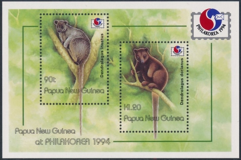 Grizzled Tree Kangaroo (Dendrolagus inustus), Doria's Tree K