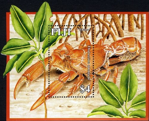 Mangrove Mud Lobster (Thalassina anomala)