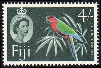 Red Shining Parrot (Prosopeia tabuensis)
