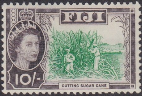 Cutting Sugar Cane
