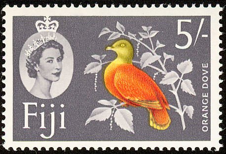 Orange Dove (Chrysoenas victor) 