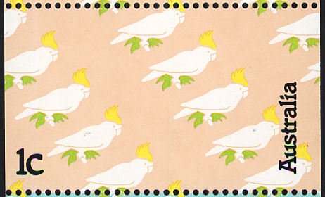 Cockatoos
