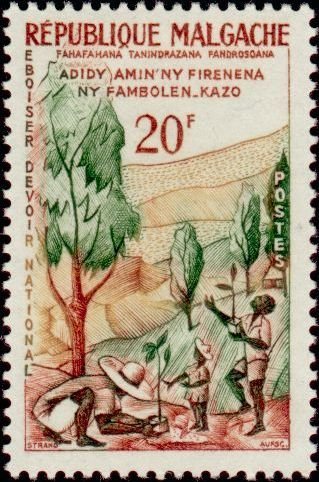 Family planting tree