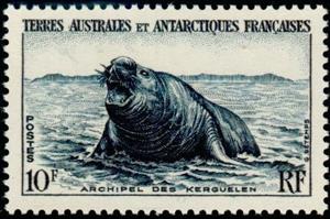 Stamp, Southern Elephant Seal (Mirounga leonina), French territories in the Antarctic,  , Animals (Fauna)